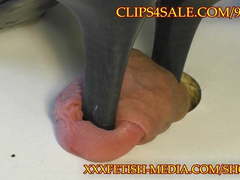 Trampling cock